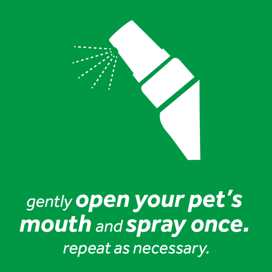 TC ORAL CARE SPRAY FOR DOGS 4OZ