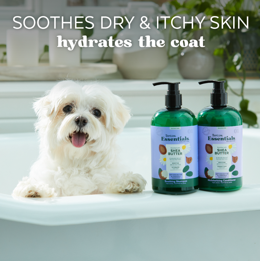 Shea Butter Soothing Shampoo for Dogs, Puppies & Cats