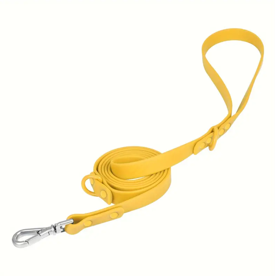 Dog Leash