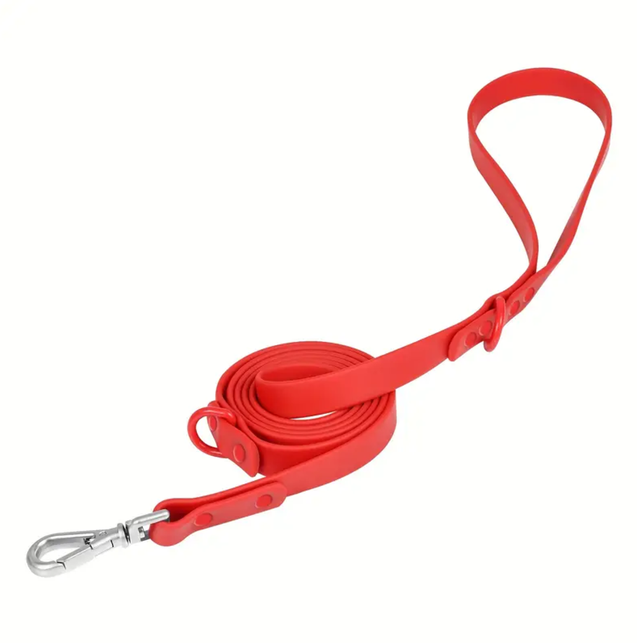 Dog Leash