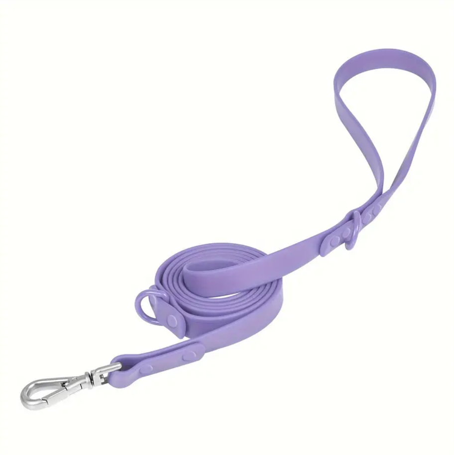 Dog Leash